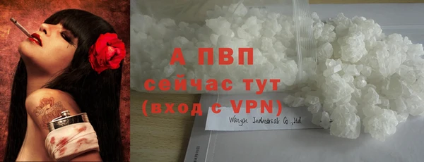 тгк Абаза