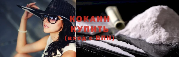 тгк Абаза