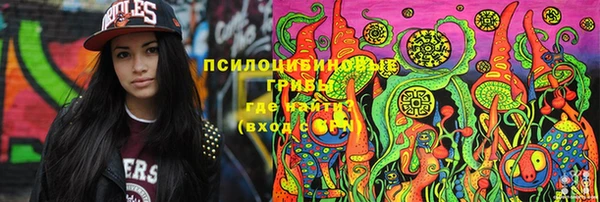 тгк Абаза